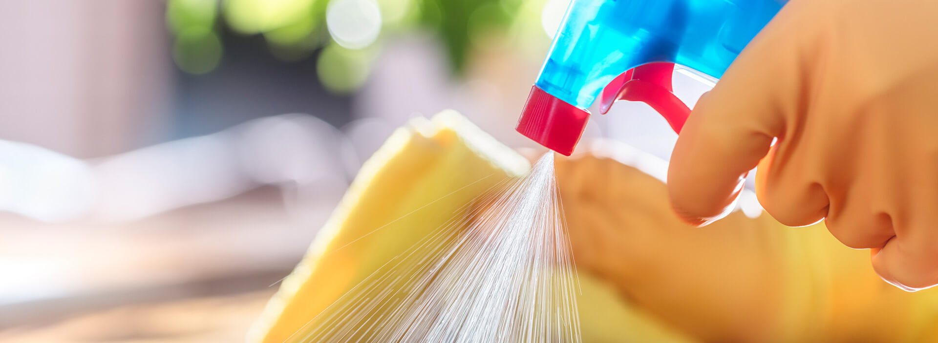 Office Cleaning Services