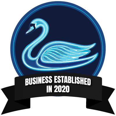 Established in 2020 badge
